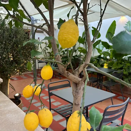 Affreschi Al Pantheon Ρώμη